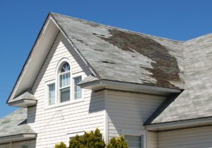 roof repair company
