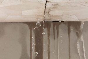 roof leak repair near me