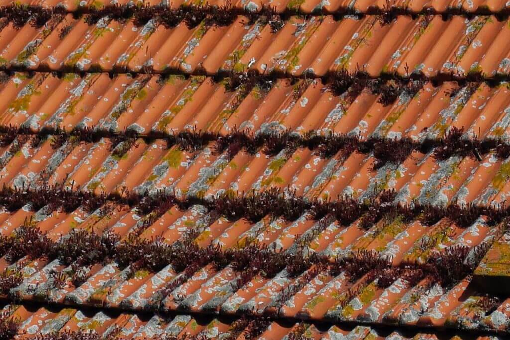 Seasonal Roof Maintenance Tips for Atlanta Homeowners